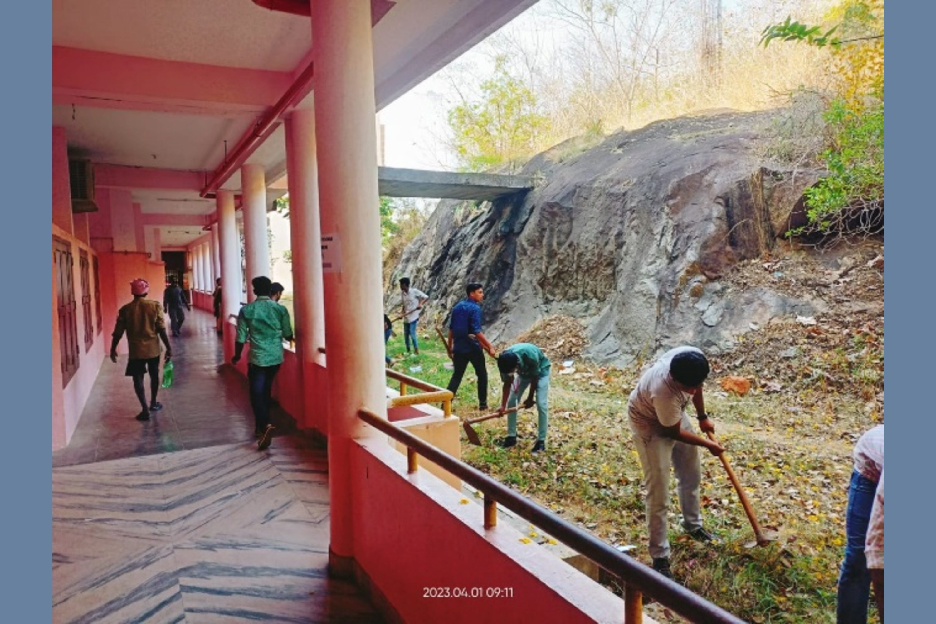 Tree Plantation